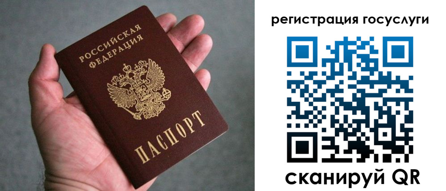 прописка поиск в Славгороде